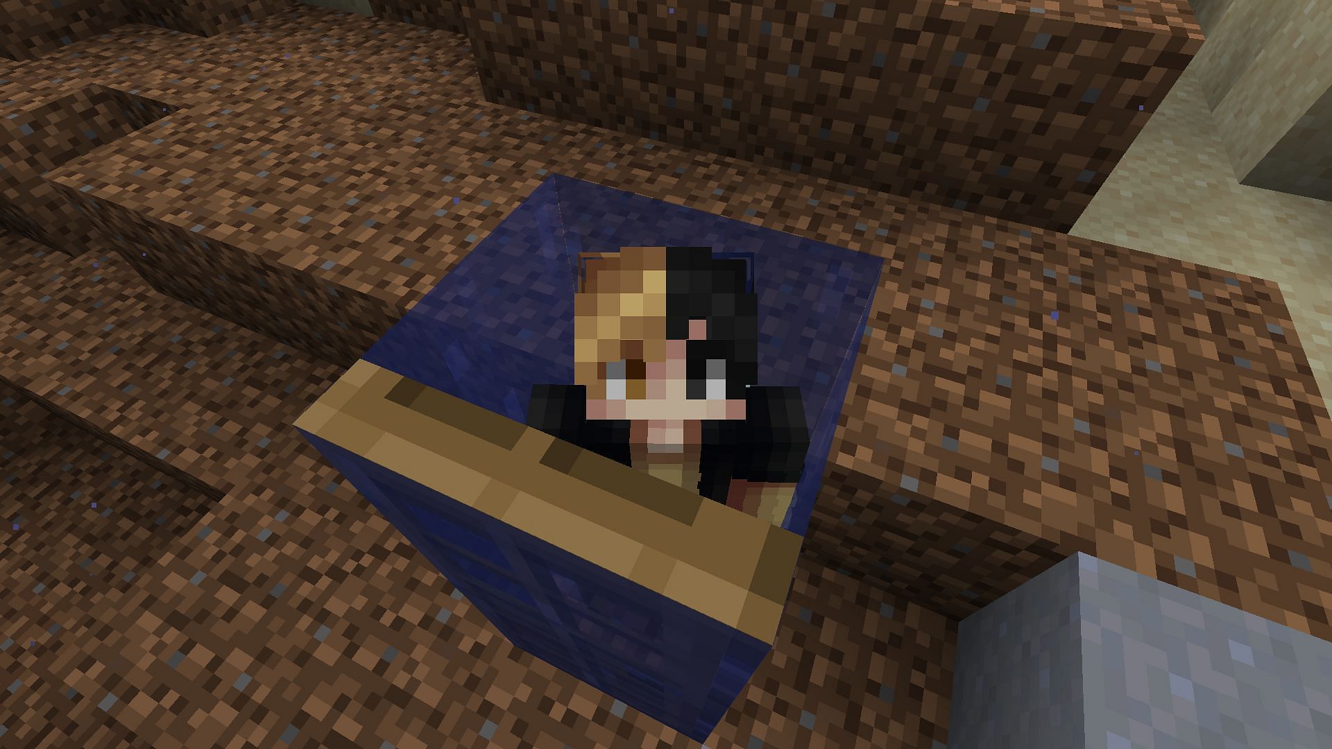 Place doors around you to create air pockets in Java edition (Image via Sportskeeda Gaming || Mojang Studios)