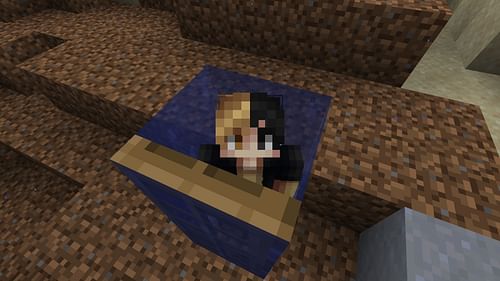 Place doors around you to create air pockets in Java edition (Image via Sportskeeda Gaming || Mojang Studios)