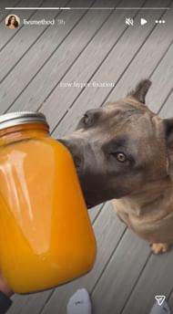 Olivia’s Instagram story @ livsmethod