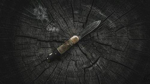 A foldable knife (Image via Pexels)