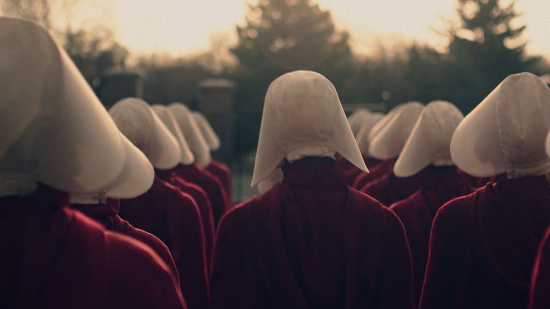 How The Handmaid