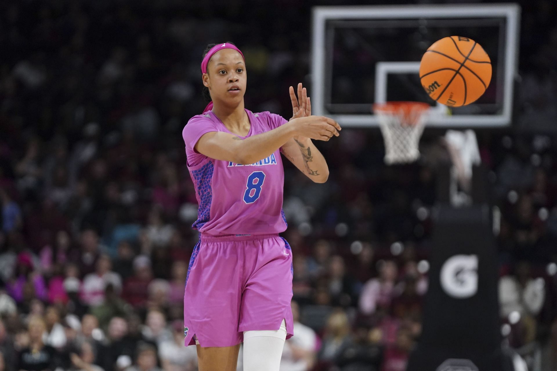 Florida v South Carolina - Source: Getty