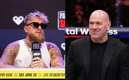 Jake Paul seemingly lauds Dana White for landing promoter role for Canelo Alvarez vs. Terence Crawford boxing match