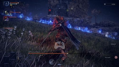 You need teamwork to level up fast and take on difficult bosses (Image via Sportskeeda Gaming || FromSoftware)