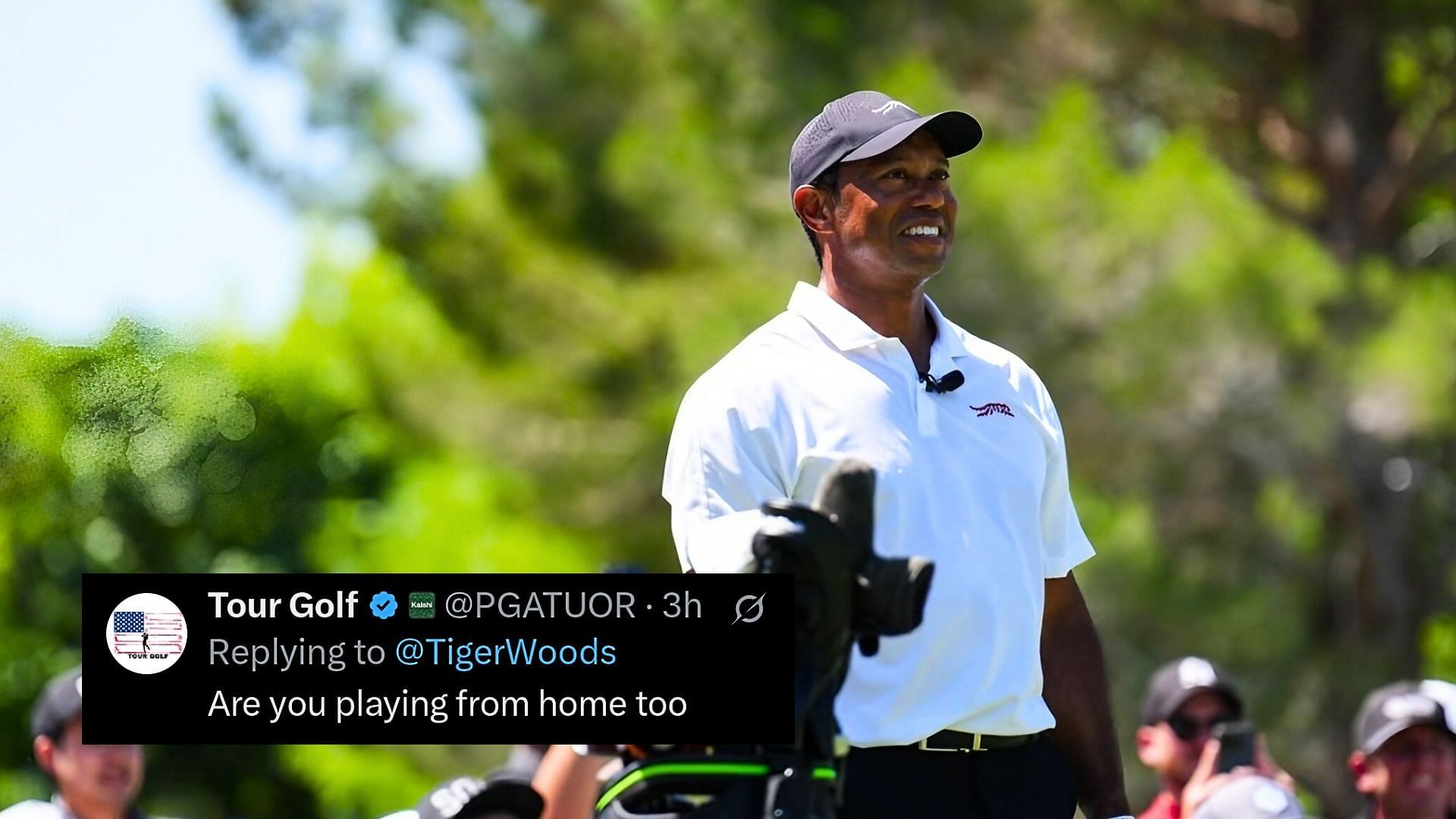 Tiger Woods