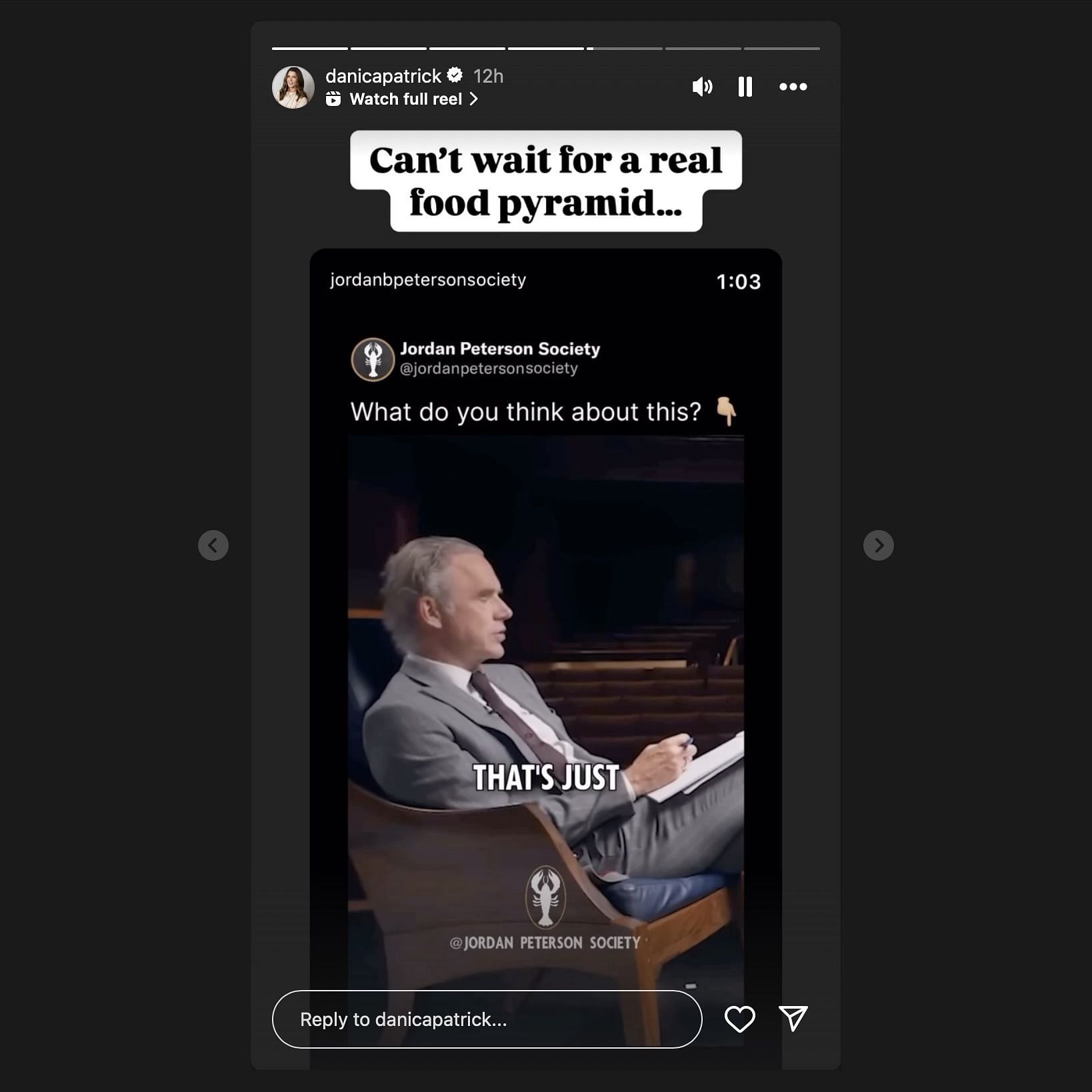 Screen grab from Danica Patrick&#039;s Instagram story [via instagram/danicapatrick]