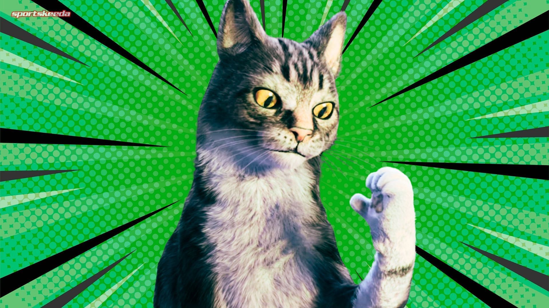 the cat in Love, Death &amp; Robots (Custom cover edited by Sportskeeda, Original Image [Netflix])