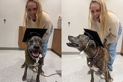 Lindsey Vonn shares adorable glimpse of her pet Leo during 'bring your dog to work day'