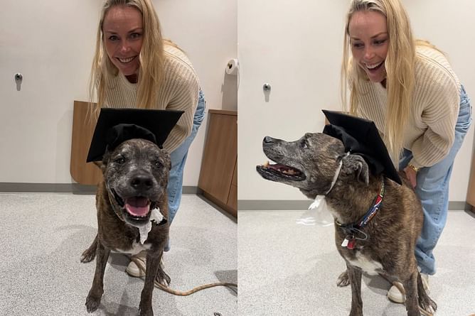 Lindsey Vonn shares adorable glimpse of her pet Leo during 'bring your dog to work day'