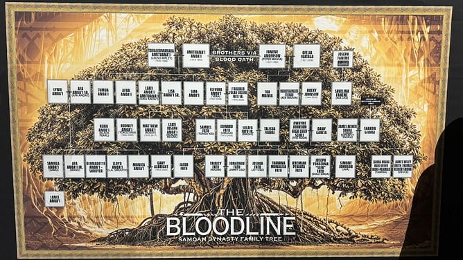 Real-life Bloodline member sends a one-word message as Championship reign continues