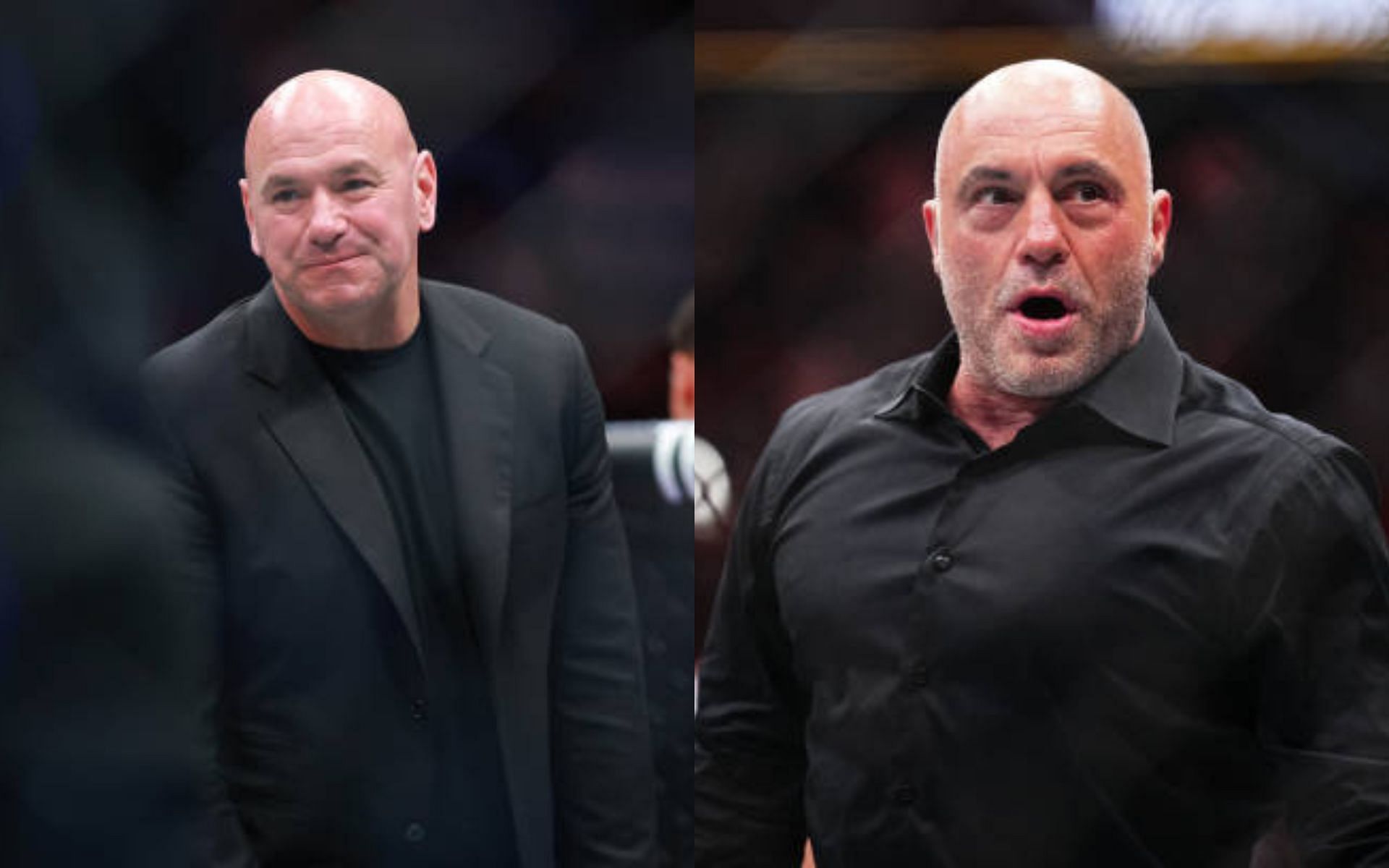 Dana White (left) shared high praise for Joe Rogan (right) [Image credits: Getty Images]
