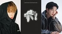 "A masterpiece indeed"—Fans react as BTS' RM & Epik High's Tablo's 'Stop The Rain' debuts at #5 on US iTunes