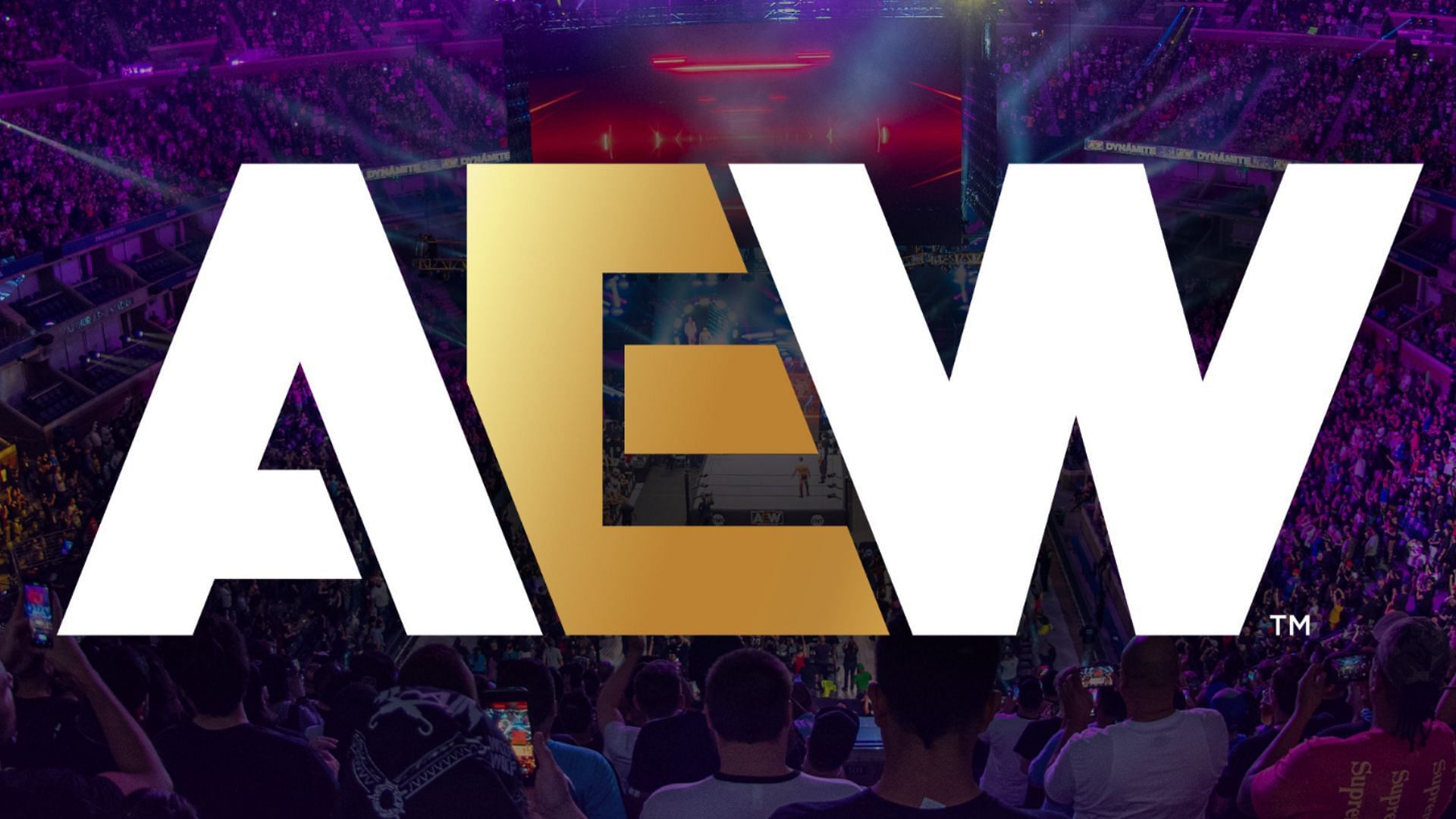 A top AEW star is poised to fight for a title opportunity [Image Credits: AEW