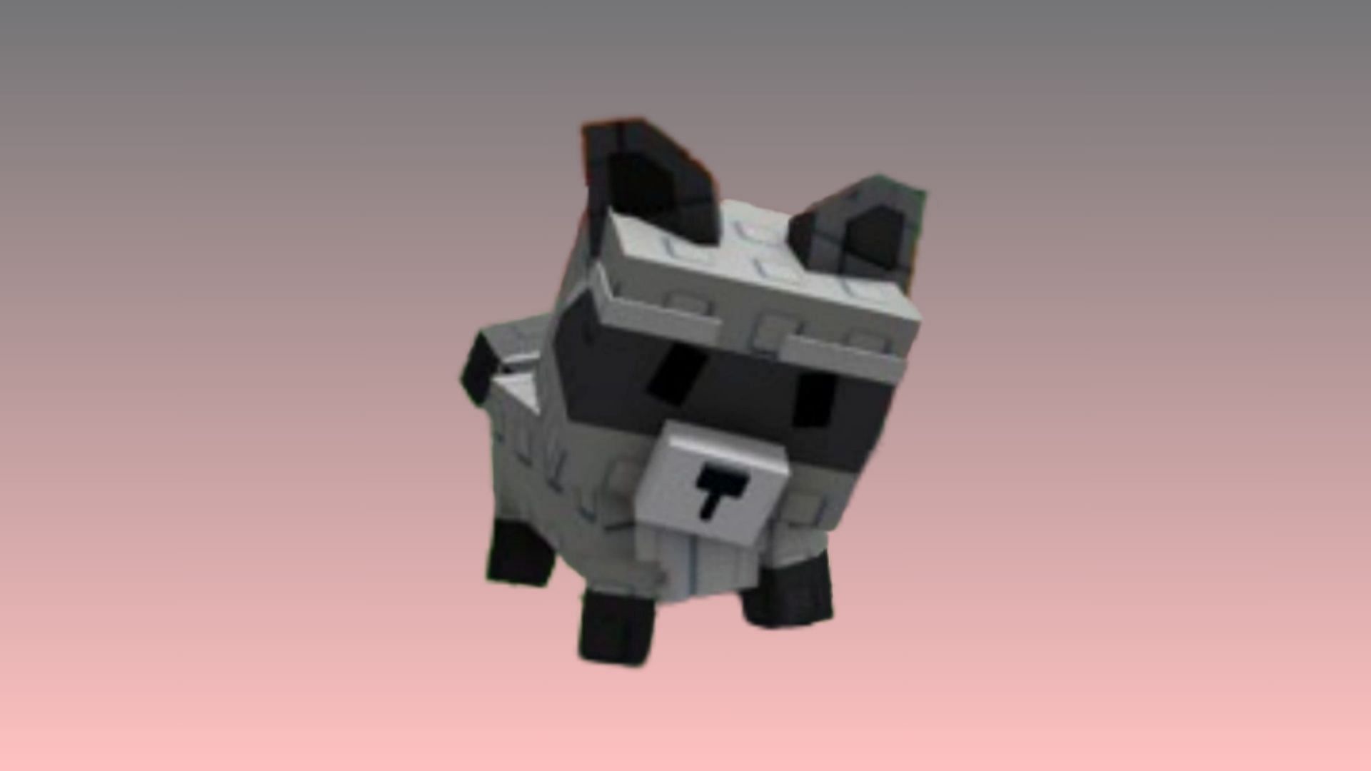 Feature image of Raccoon in Grow a Garden