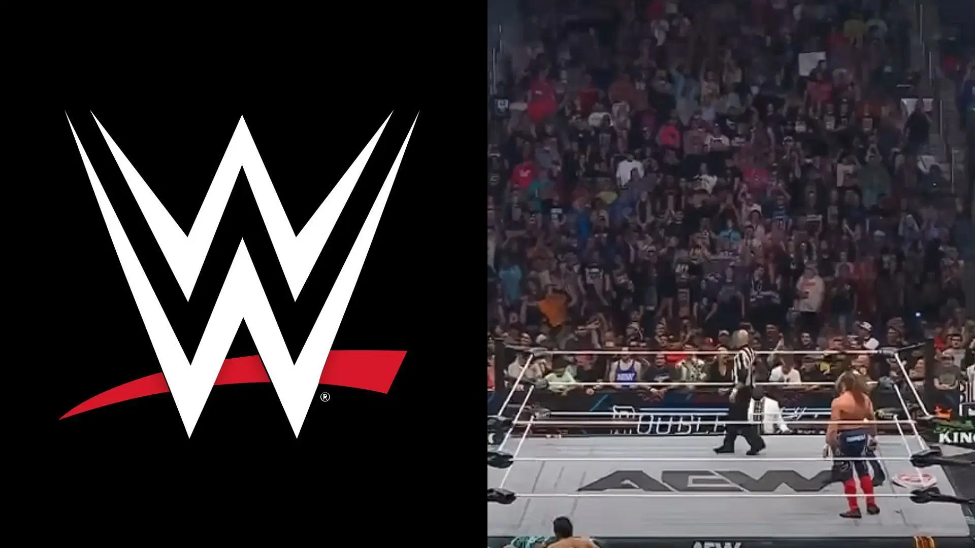 WWE and AEW are top players in the wrestling industry [photo: WWE