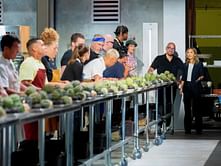 Who went home in 24 in 24: Last Chef Standing season 2 episodes 4 and 5? Details explored