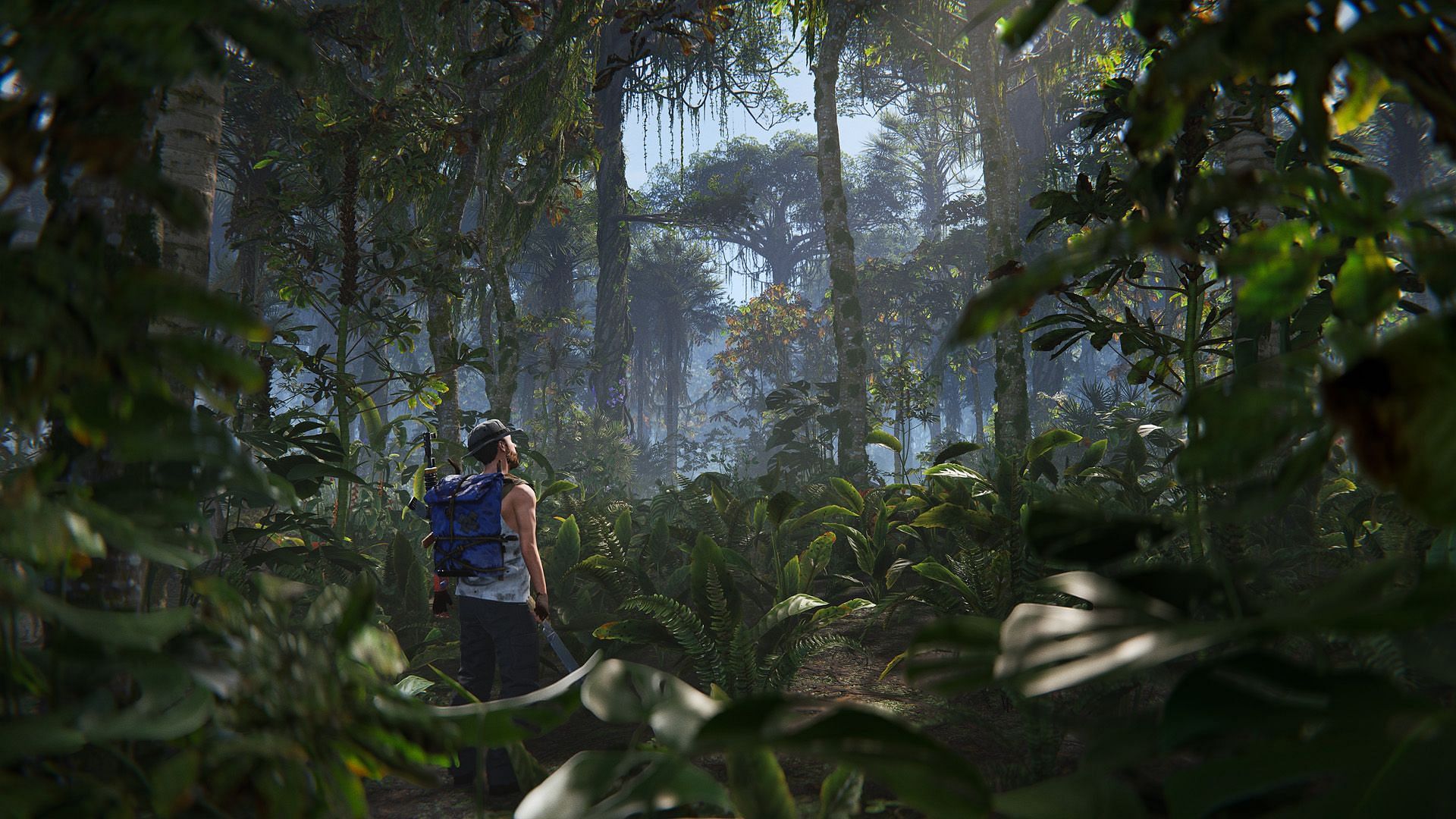 Rust jungle update