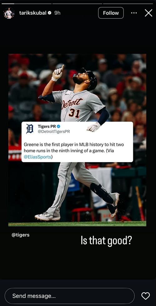 Tarik Skubal's Instagram Story