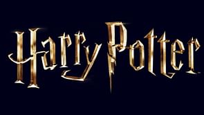 HBO's Harry Potter series has found its Harry, Ron, and Hermione