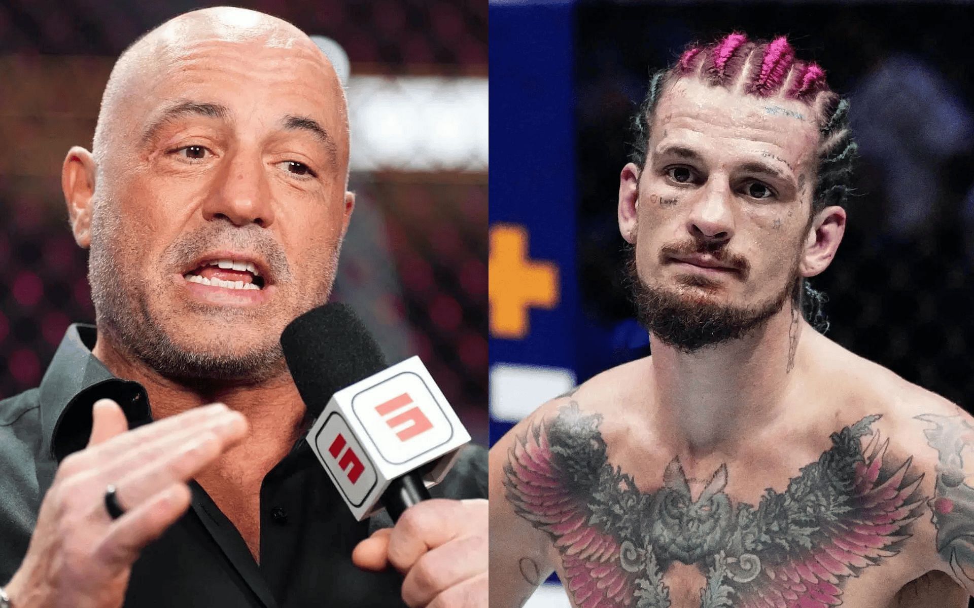 Joe Rogan (left) talks about Sean O