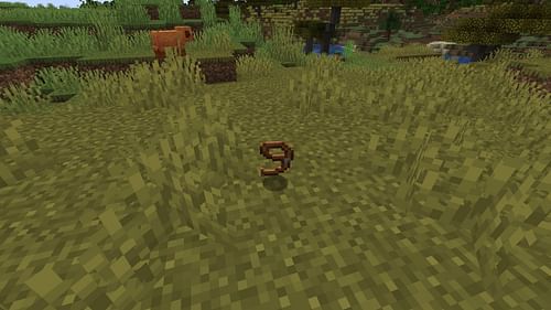 It could be a while before this Minecraft bug is resolved (Image via Sportskeeda Gaming || Mojang Studios)
