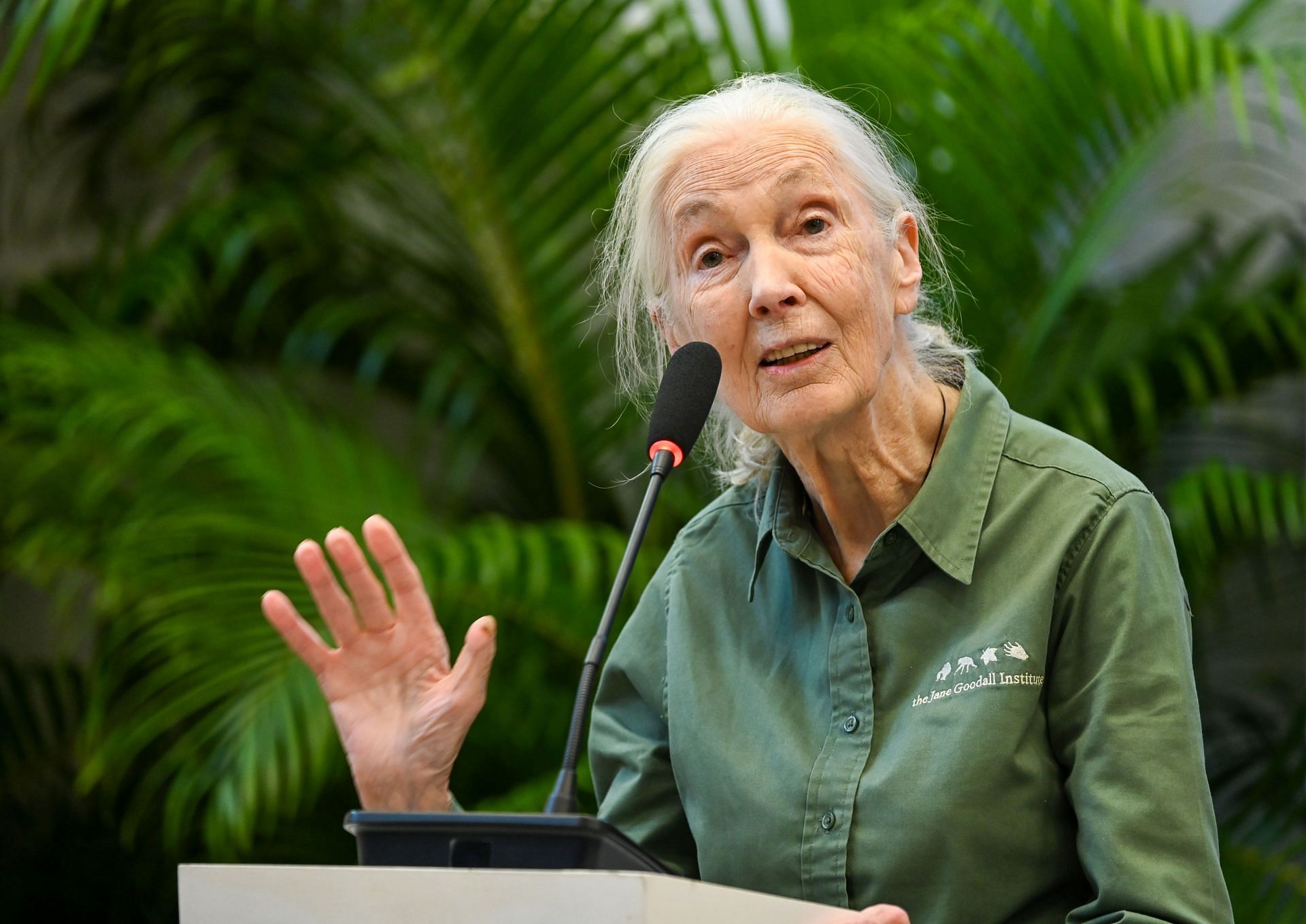 Renowned Conservationist Dr. Jane Goodall Begins 