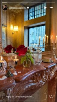 through Instagram /@celestedesjadins