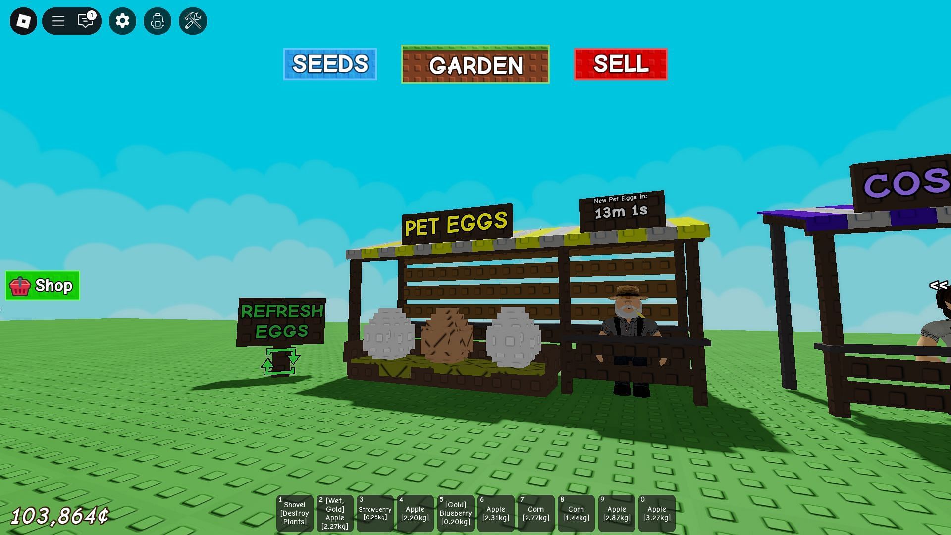 The Pet Eggs Shop (Image via Roblox)