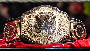 4-time WWE World Champion could play the perfect bully, says Bubba Ray Dudley