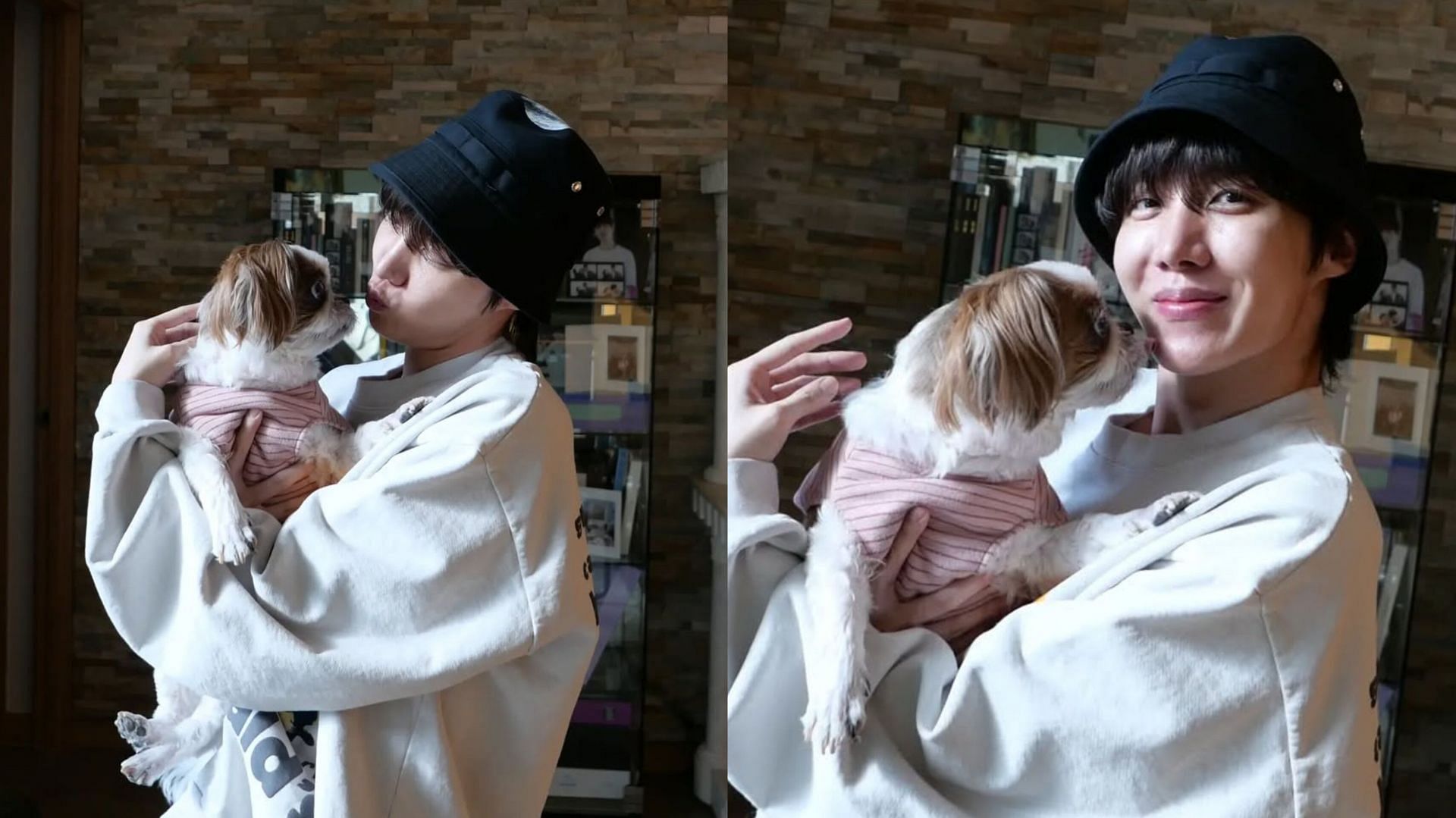 BTS j-hope and sister Jiwoo share emotional updates on their dog Mickey
