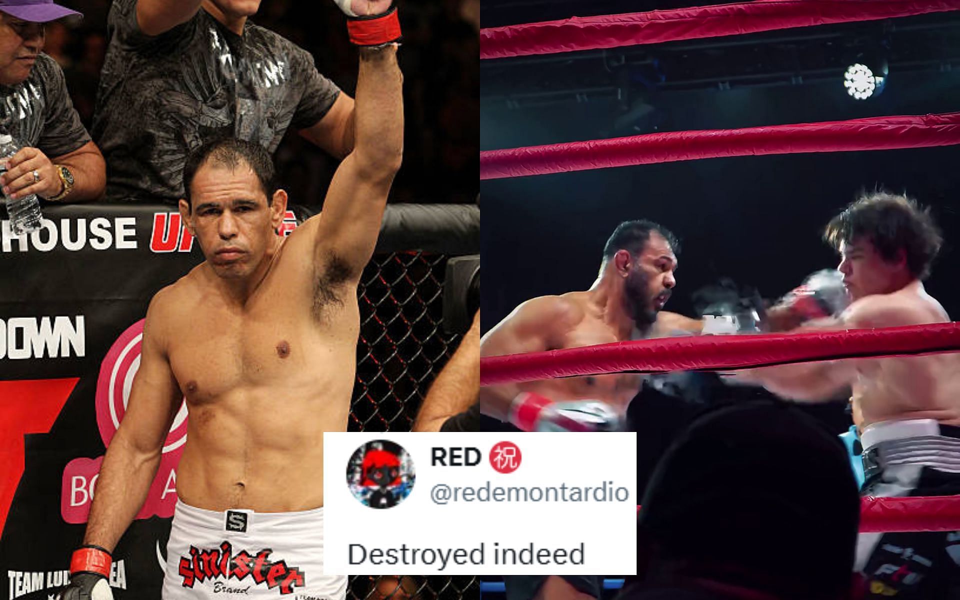 Fans react to UFC