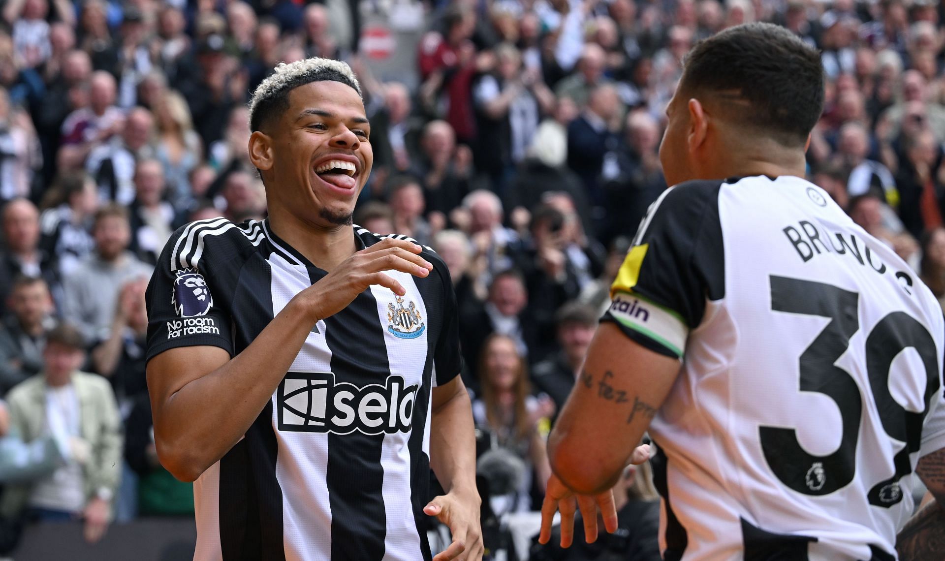 Newcastle United FC v Ipswich Town FC - Premier League - Source: Getty