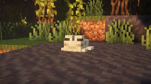 White frogs can be found in Mangrove Swamps. (Image via Sportskeeda Gaming || Mojang Studios)