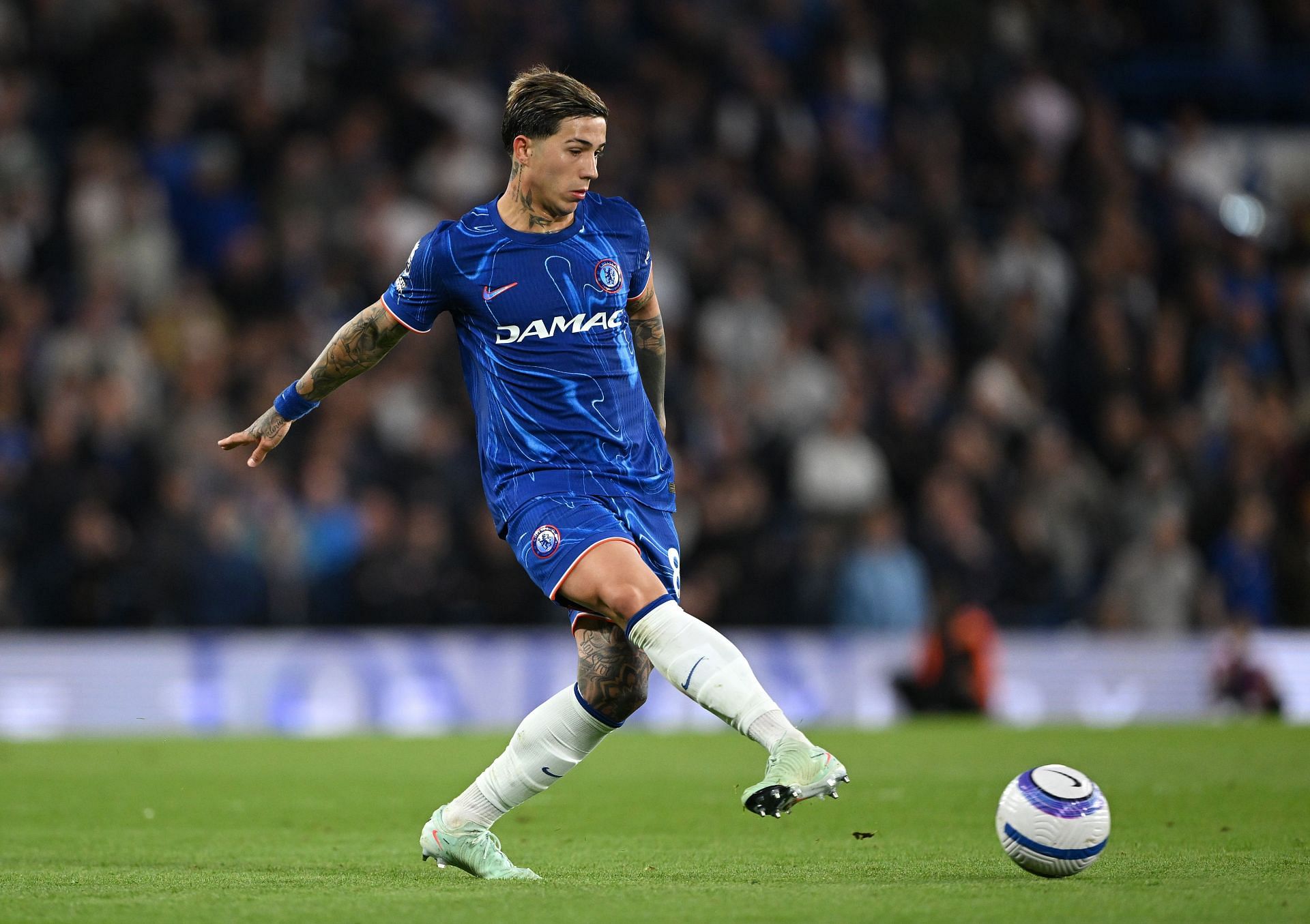 Enzo Fernandez