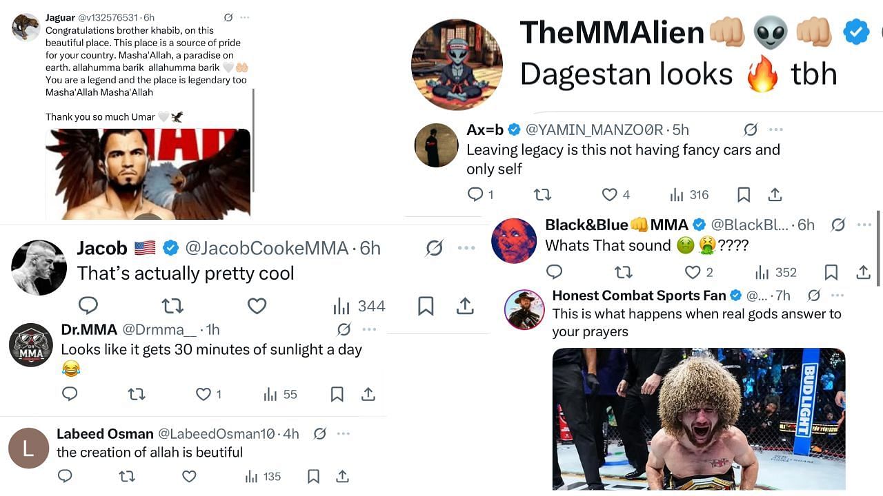 Fan comments. [Screenshots courtesy: @RedCorner_MMA on X]