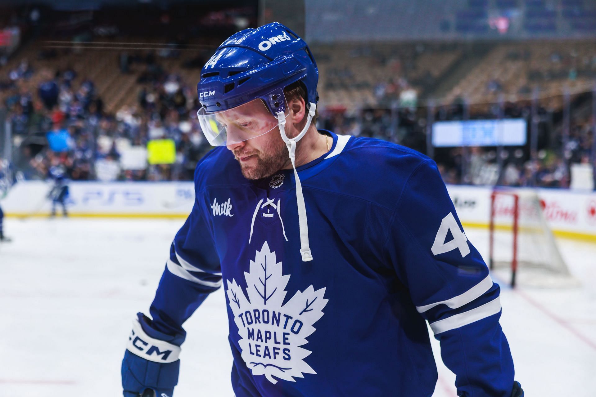 NHL: APR 17 Red Wings at Maple Leafs - Source: Getty