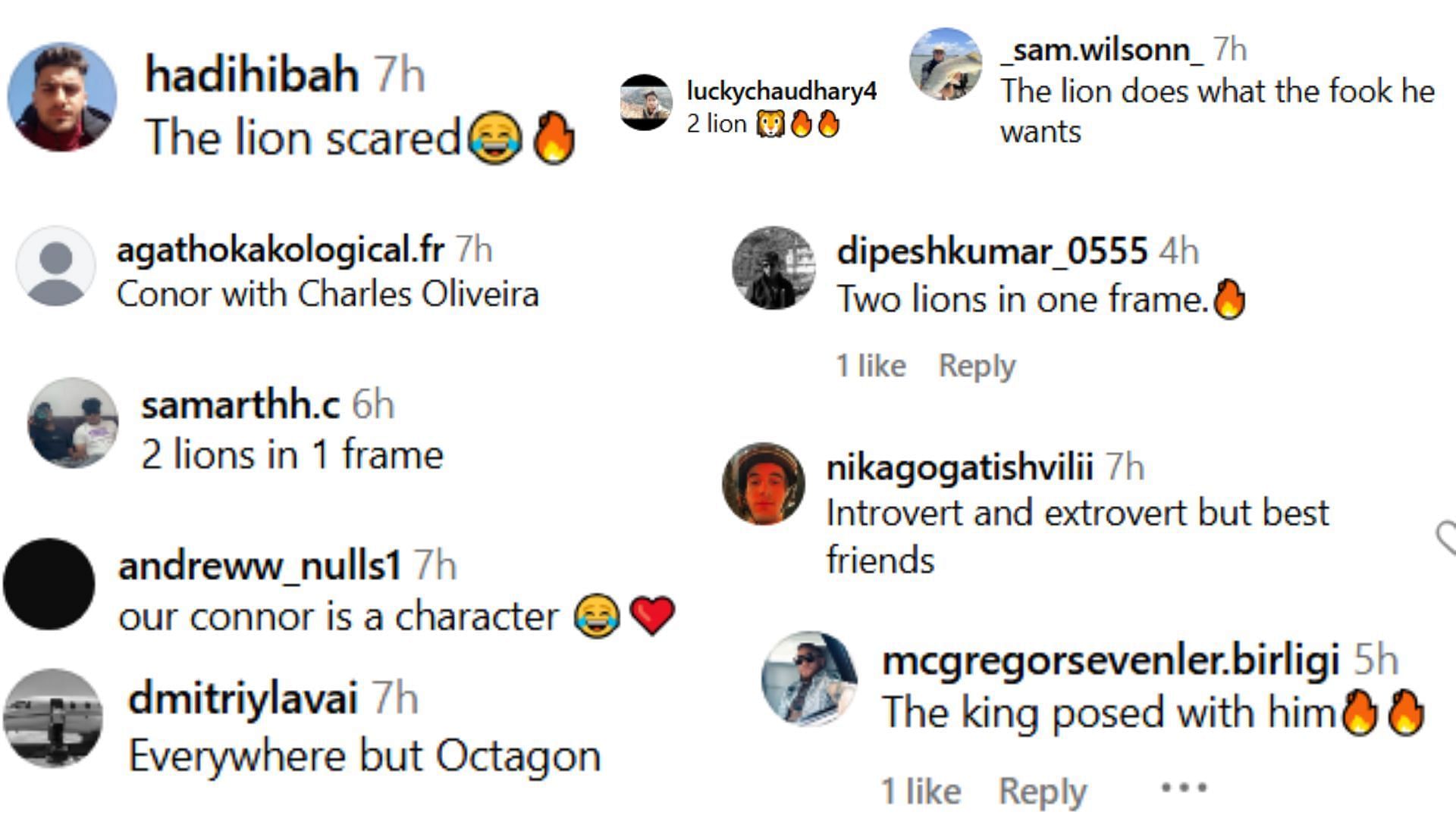 Fan comments. [Screenshots courtesy: @thenotoriousmma on Instagram]