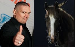 Oleksandr Usyk hilariously recalls the time a horse rocked him with head kick