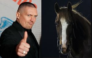 Oleksandr Usyk hilariously recalls the time a horse rocked him with head kick