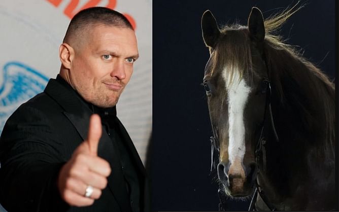 Oleksandr Usyk hilariously recalls the time a horse rocked him with head kick