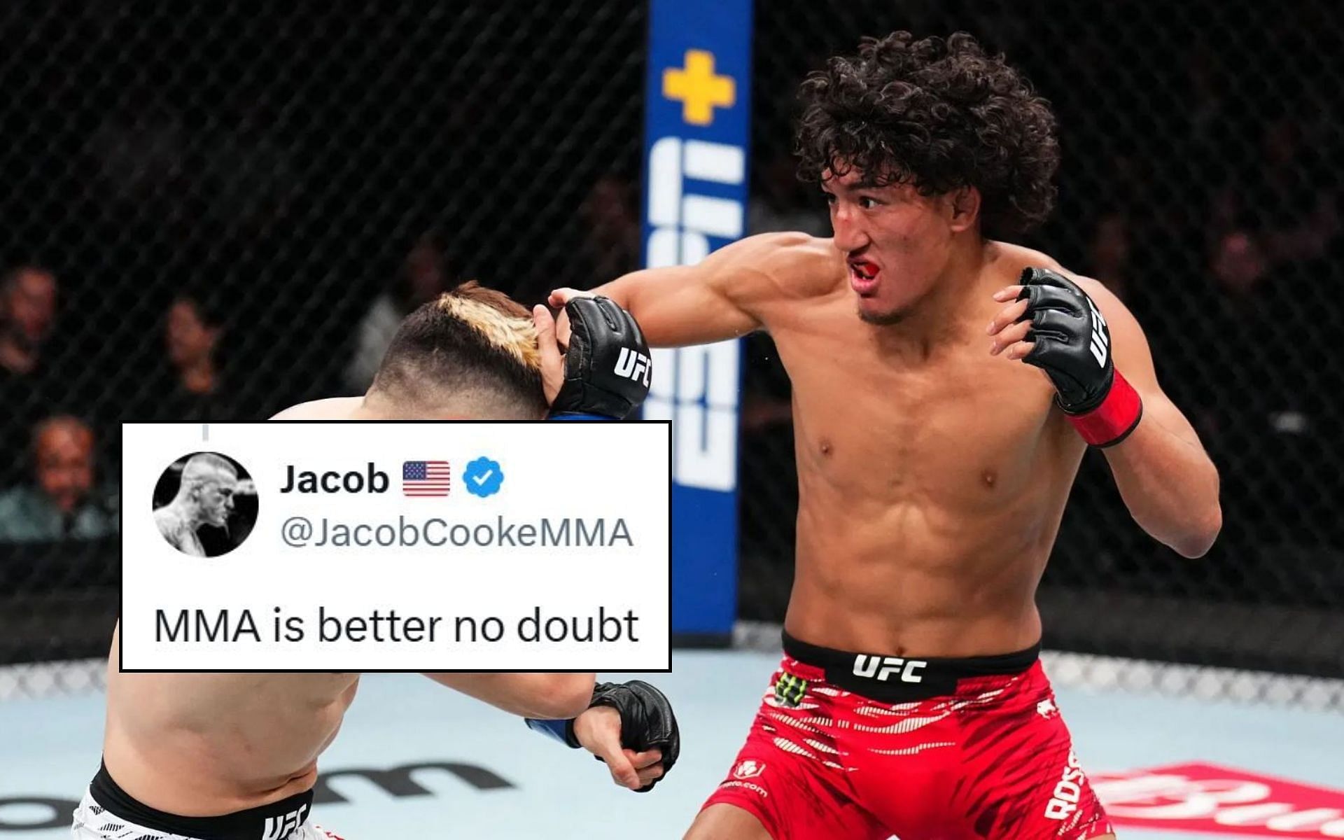 Fans react to Raul Rosas Jr (right) sparring with an undefeated boxer. [Images courtesy: @ParryPunchNews on X, Getty Images]