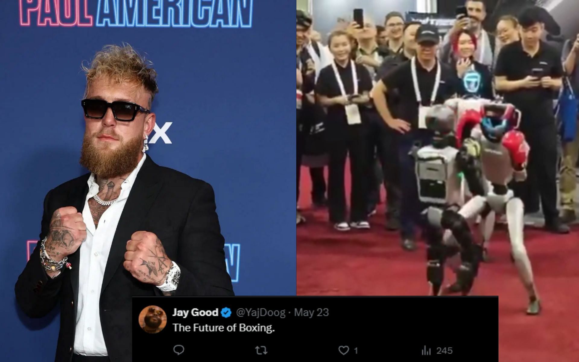 **Revised Title:** Fans speculate on Jake Paul and UFC 400 as robot boxing championship ends in brutal KO in China [Image courtesy: Getty Images]