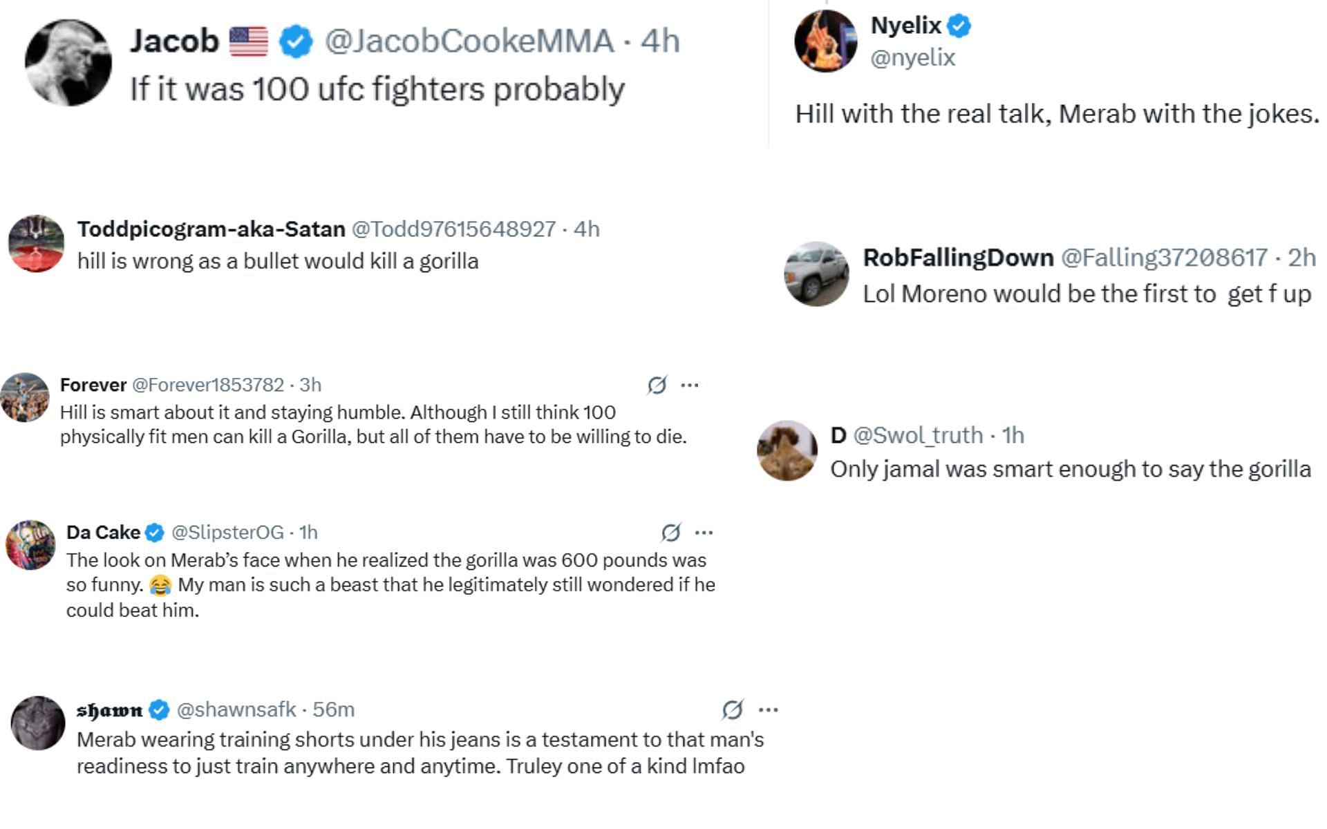 Fan reactions. [Screenshots courtesy: @Home_of_Fight on X]