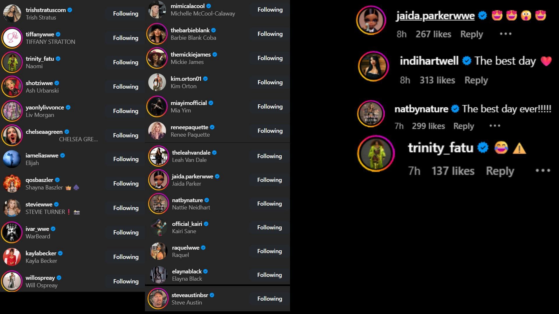 Screenshots of stars&#039; likes and comments. [Image credit: Bayley&#039;s Instagram]