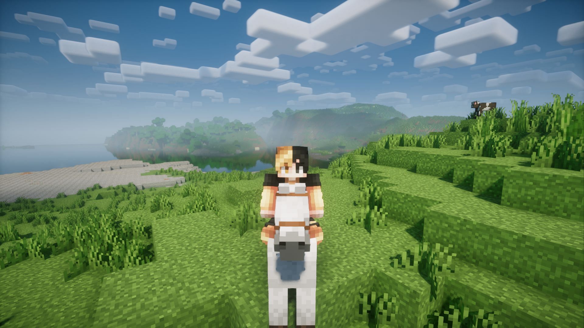 Minecraft saddle
