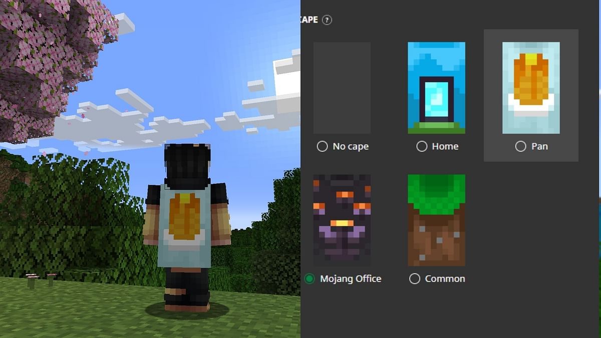 Two Minecraft Bedrock exclusive capes are finally making their way to the Java edition