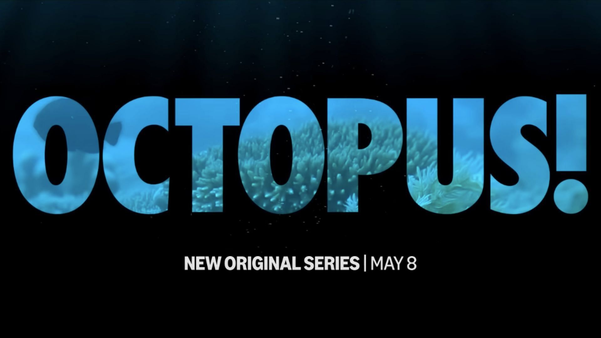 Octopus! narrated by Phoebe Waller-Bridge