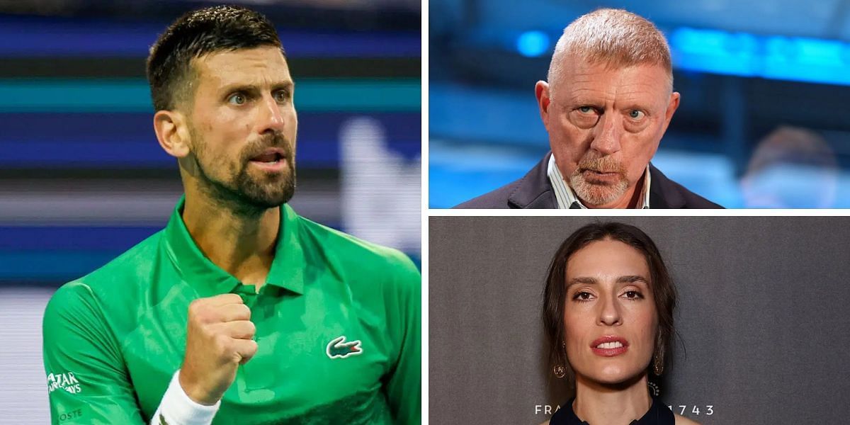Novak Djokovic (left), Boris Becker (top right), Andrea Petkovic (bottom right), Sources: Getty