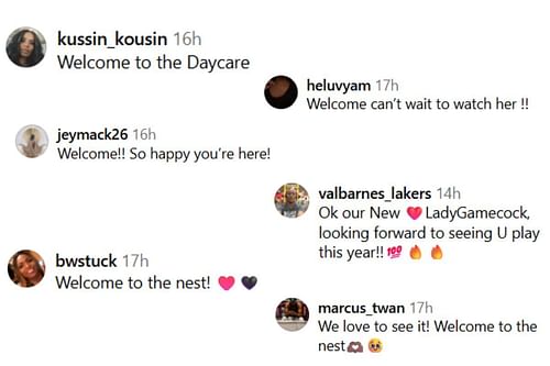 Image via gamecockwbb Instagram