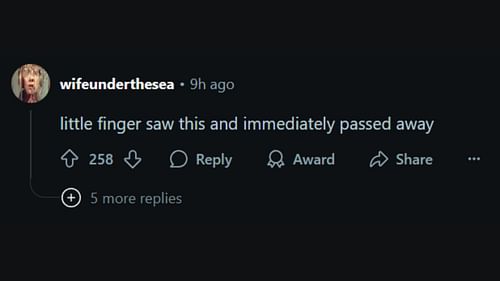 A netizen talks about Sophie Turner's Instagram post. (Image via Reddit/r/popculturechat)